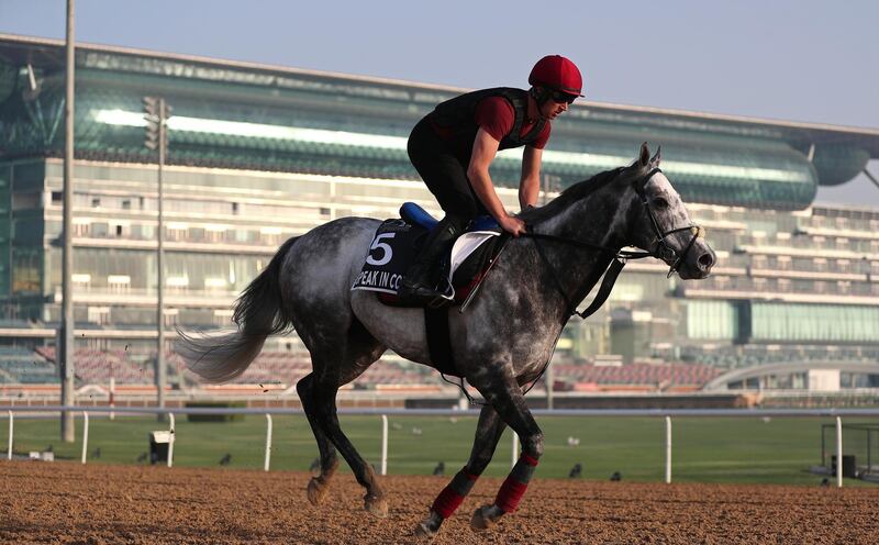 A jockey rides Speak In Colours from Ireland during preparations for the Dubai World Cup 2021 at Meydan Racecourse in Dubai. The 25th edition of the Dubai World Cup will take place on March 27, 2021. EPA