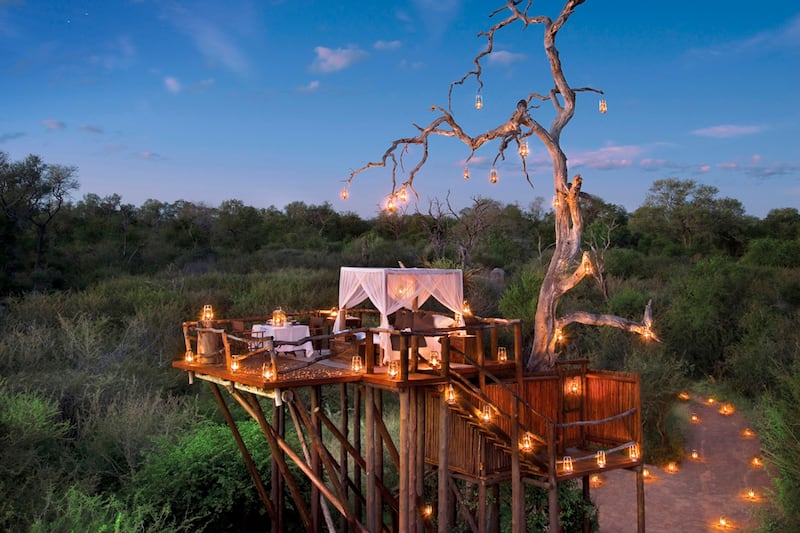 Chalkley Treehouse, South Africa