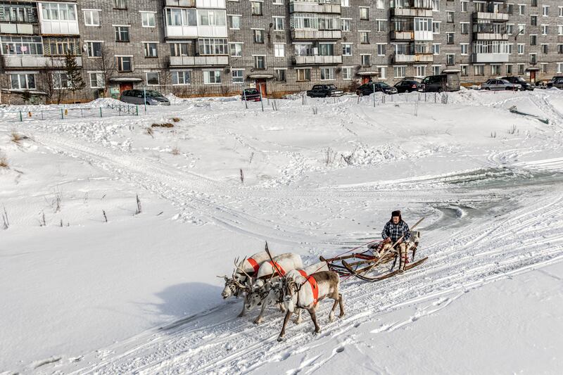 Natalya Saprunova's image of a reindeer sled in snow at the Murmansk Ski Marathon in Russia, which won the 2022 Canon Female Photojournalist Grant. Photo: Natalya Saprunova / Zeppelin