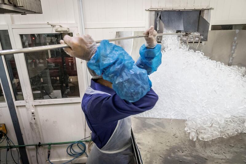 PHOTO PROJECT: ICE FACTORY. A visit to the Gulf Ice Factory & Modern Ice Factory (G&M Ice) located in Dubai Investment Park on June 15th, 2021. An employee rakes tube ice as it exits one of the four ice machines in the factory. from here the ice is packed into 1 kg , 2 kg , 5 kg or 20 Kg bags and then delivered to clients. Tube ice usuage ranges from commercial, retail, leisure and entertainment, manufacturing, construction and hospitality.
The company first started producing ice in the UAE in 1976 in the emirate of Sharjah followed by setting up of multiple units like Modern Ice Factory in 1989, Quality Ice Distribution Office in 1992, Tube Ice Production in 2000 & its latest production facility at Dubai Investments Park launched in May 2008. They are the largest ice producer in the UAE. 
Antonie Robertson / The National.
Reporter: Antonie Robertson for National