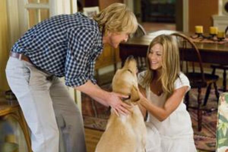 In Marly & Me, Owen Wilson and Jennifer Aniston play a young married couple who bring home a mischievous Labrador retriever puppy.