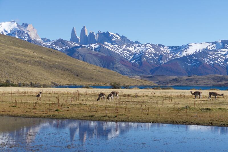 Parque Patagonia. Pura Aventura