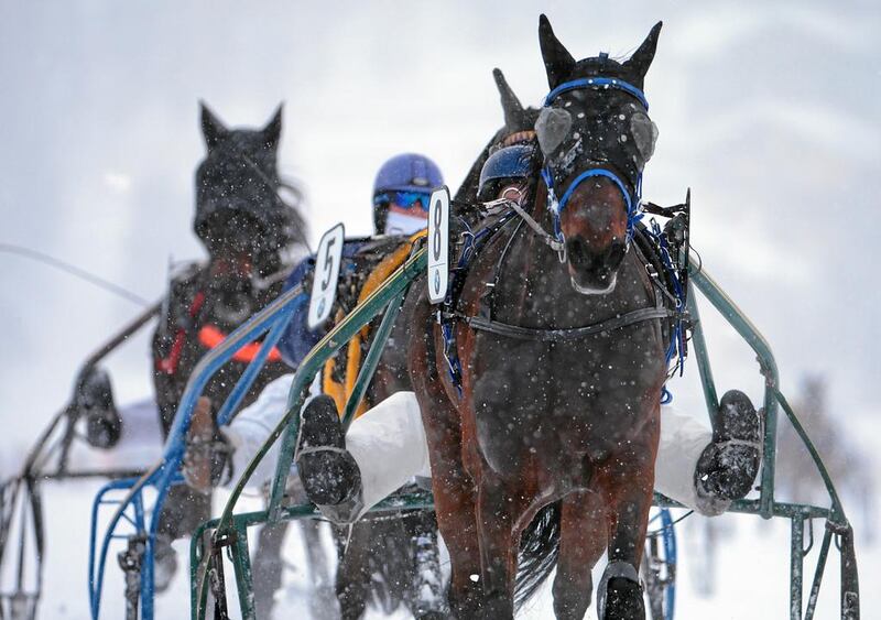 The opening card includes two Flat races, two trotting races and two Skijoring races. Andy Mettler / swiss-image.ch