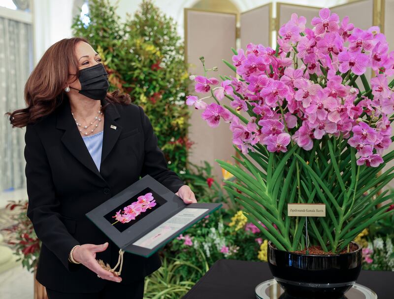 Kamala Harris poses next to Papilionanda Kamala Harris during an orchid-naming ceremony at the Istana in Singapore, August 2021. AP