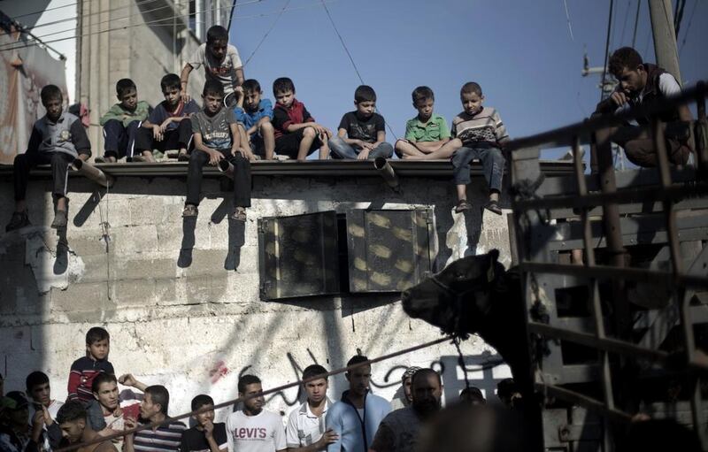 Palestinians gather to watch a butcher slaughter a cow for Eid Al Adha.