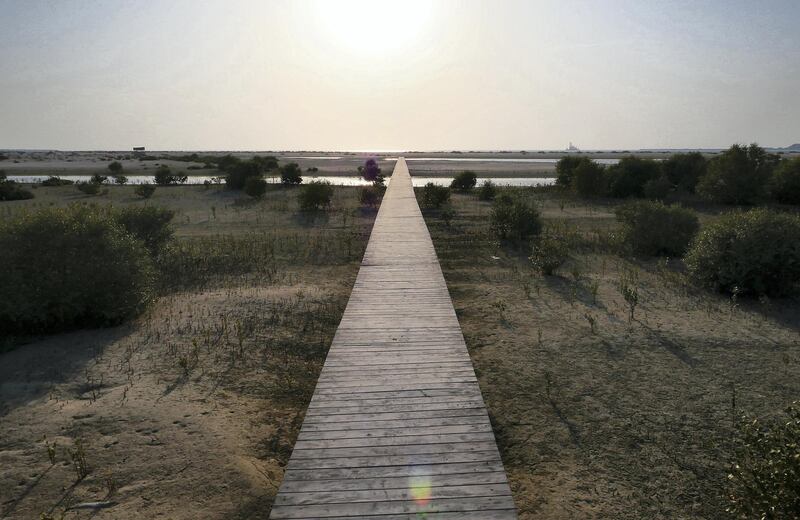 DUBAI, UNITED ARAB EMIRATES , April 19  – 2021 :- View of the Dubai Mangroves Forest at the Jebel Ali Wildlife Sanctuary, held under the patronage of Her Highness Sheikha Manal bint Mohammed bin Rashid Al Maktoum, President of Dubai Women Establishment and Honorary President of EMEG.  ( Pawan Singh / The National ) For News/Online/Instagram/Standalone/Big Picture. Story by Ramola