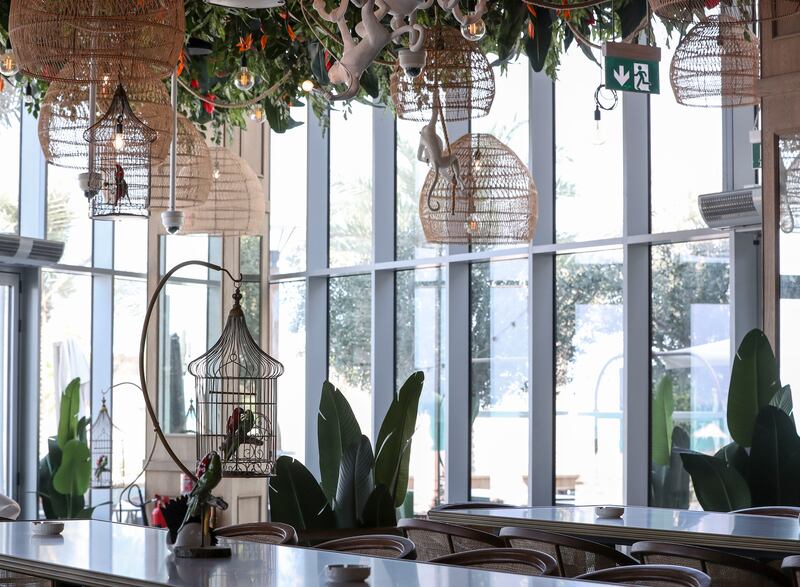 Fine French fare meets jungle vibes at this new home-grown restaurant.