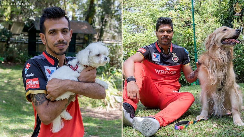 Yuzvendra Chahal and Umesh Yadav with their four-legged friends. Courtesy Royal Challengers Bangalore Twitter / @RCBTweets