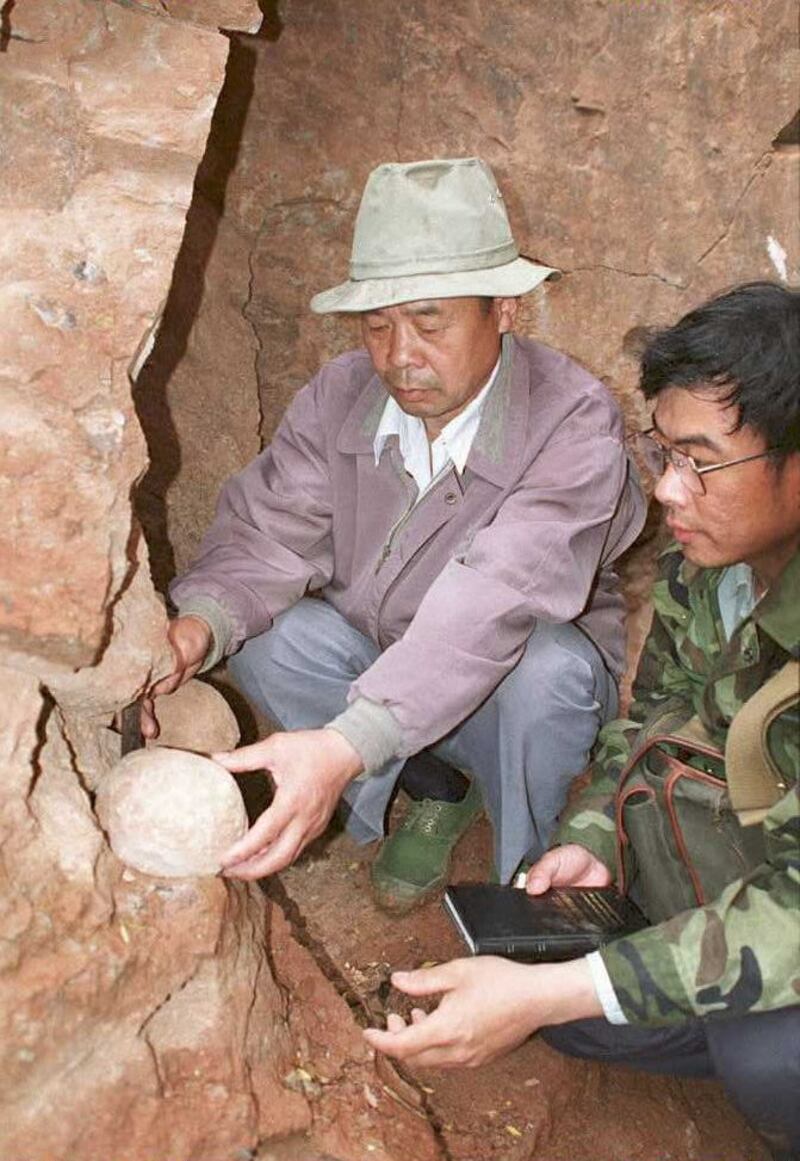 Museum curator Wang Zhenghua, left, and Wang Fangchen, a scientist from Beijing, remove a fossilised dinosaur egg from a mountainside in Yunxian, China, where a huge deposit of dinosaur eggs was discovered last week. AFP