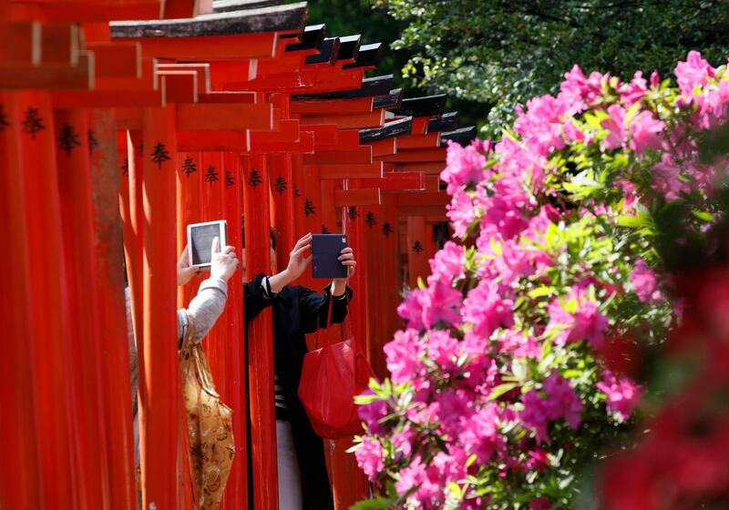 Visitors take pictures of azaleas in full bloom at a shrine garden in Tokyo, Japan. Kimimasa Mayama / EPA