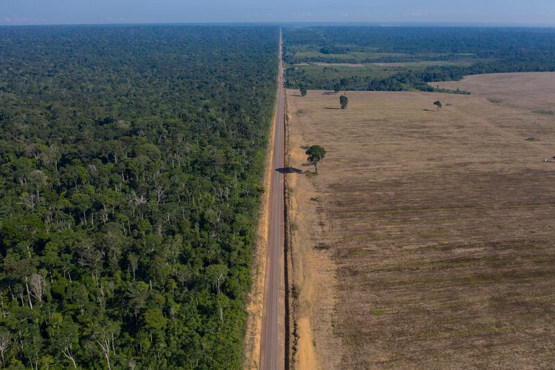 A motorway stretches between the Tapajos National Forest, left, part of the Amazon, and a field in Belterra, Para state. AP