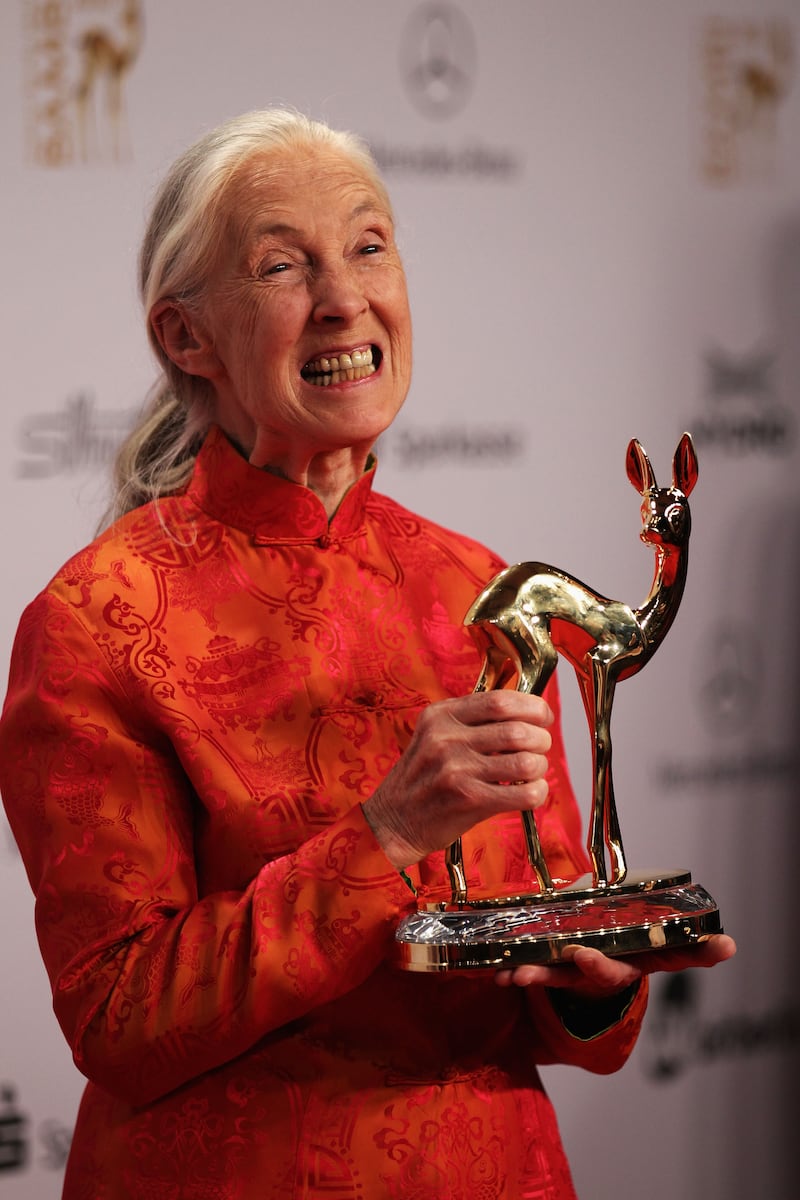 Goodall with the Bambi award 'Our Earth' at the Bambi 2010 Award Winners Board in November 2010 in Potsdam, Germany. Getty Images