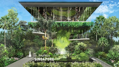 Visitors to the Singapore pavilion will walk into a garden at the lower level that features a pond filled with plants.