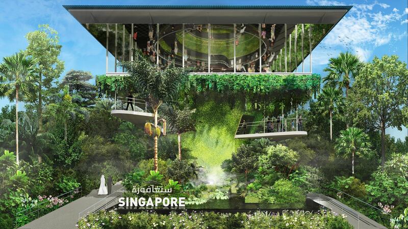 Visitors will walk into a garden at the lower level that features a pond filled with plants that suck up pollutants from the air.