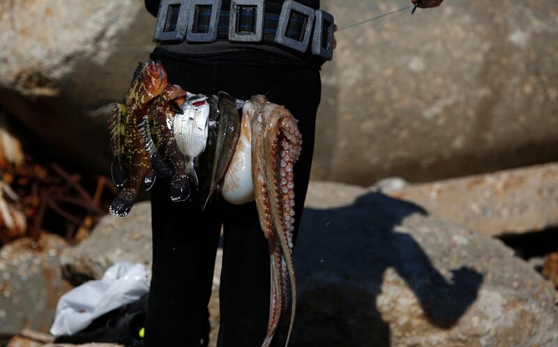 A Palestinian trader shows off the fish he caught after diving in the sea at Gaza port, in Gaza City. AP