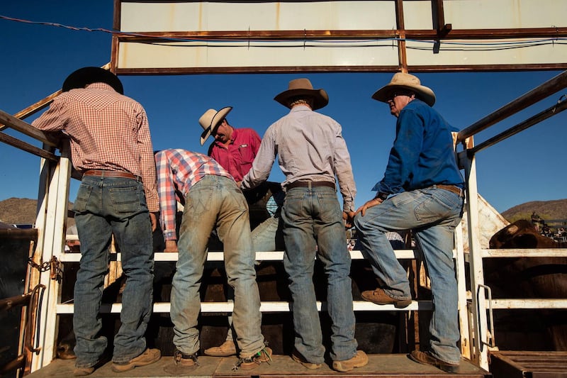 Competitors are seen behind the chutes during the Harts Range Races and Rodeo. EPA