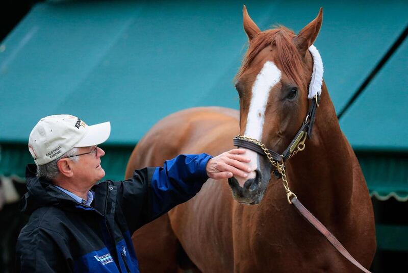 Trainer Art Sherman pets Kentucky Derby winner California Chrome following a morning workout in preparation for the 139th Preakness Stakes at Pimlico Race Course on May 14, 2014 in Baltimore, Maryland. “He’s got a good head, good shoulders, and no wasted motion,” Sherman says of his ward. “He just developed into a runner, and I’m kind of just sitting back and each time he goes out there it kind of takes my breath away."  Rob Carr / AFP