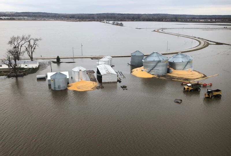 The contents of grain silos which burst from flood damage are shown in Fremont County Iowa, on March 29, 2019. Reuters