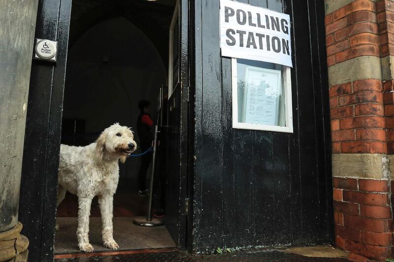 A dog is pictured at a polling station in Howden, East Yorkshire.  AFP