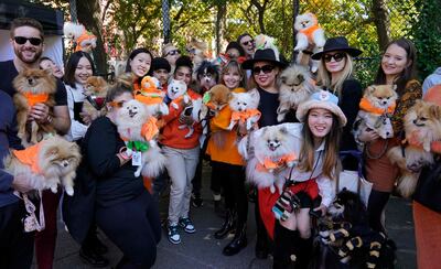Dogs and their owners compete in the 32nd Tompkins Square Halloween Dog Parade on October 22, 2022, at Tompkins Square in New York City. AFP