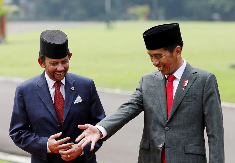 Brunei's Sultan Hassanal Bolkiah, left, and Indonesian President Joko Widodo  chat in the garden before they plant a tree at the palace in Bogor, south of Jakarta. Darren Whiteside  / Reuters