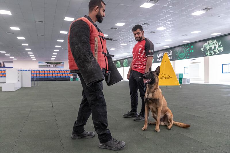 First Sergeant Mohammed Abdul Fattha trains with Togo, a Belgian Malinois. All photos: Antonie Robertson/The National