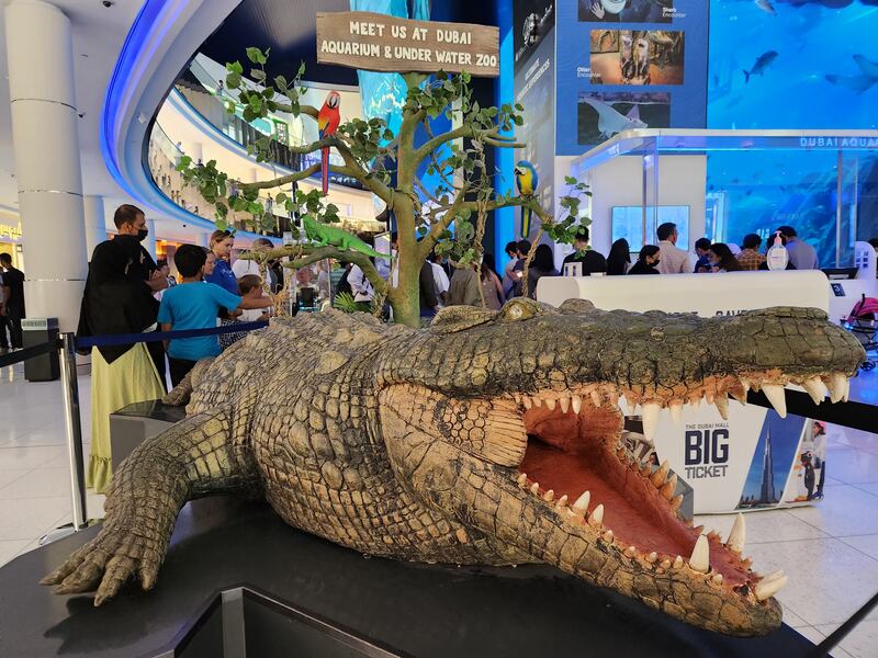 The entrance of Dubai Aquarium and Underwater Zoo at The Dubai Mall, photographed with the Samsung Galaxy Z Fold4.