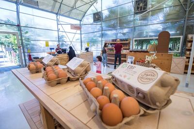 Al Ain, United Arab Emirates- Organic eggs from the farm being sold at the Emirates Bio Farm.  Leslie Pableo for The National