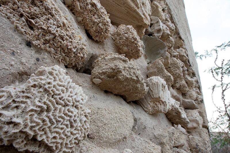 
RAK, UNITED ARAB EMIRATES – Dec 3: Wall made by coral (beach rock) in one of the old house at village ‘Jazirat al Hamra’ in RAK. (Pawan Singh / The National) Story by Anna *** Local Caption ***  PS17- RAK VILLAGE.jpgPS17- RAK VILLAGE.jpg