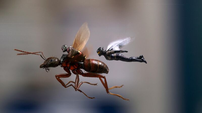 This image released by Marvel Studios shows a scene from "Ant-Man and the Wasp." (Disney/Marvel Studios via AP)