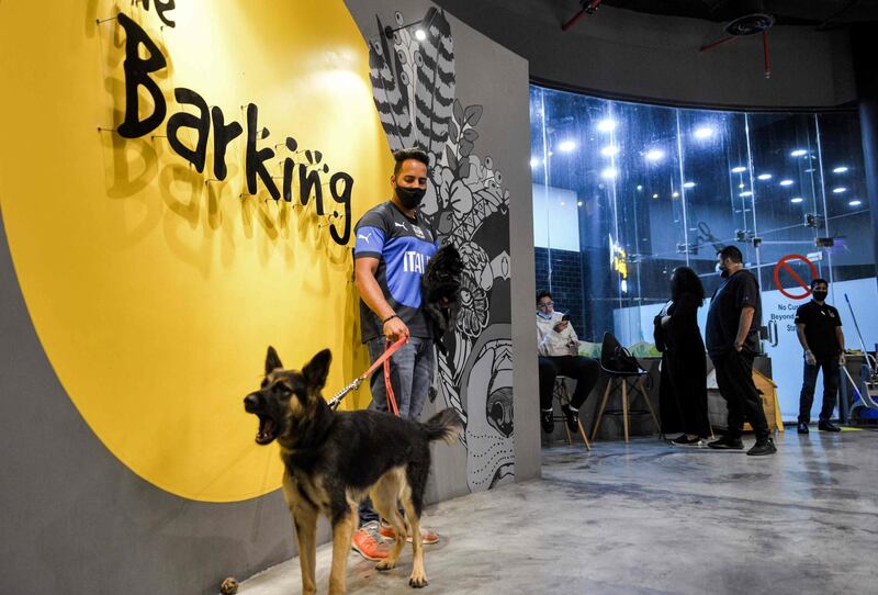 A man, mask-clad due to the Covid-19 pandemic, holds his German shepherd on a leash at the Barking Lot cafe. AFP