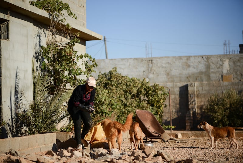 Ibtisam bin Omran, 52, who rents a dog shelter and runs the Libyan Society for the Welfare of Street Animals along with her sister, feeds stray dogs at the shelter in Benghazi. All photos: Reuters