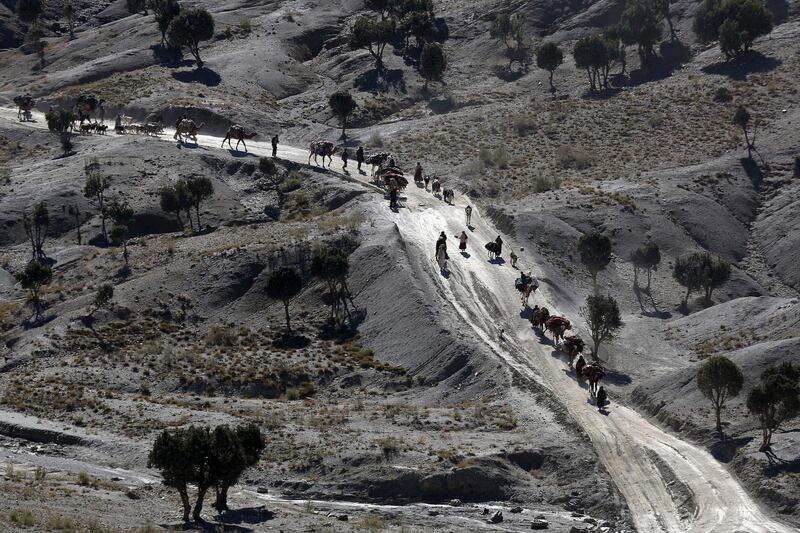 Afghans walk with camels on a dusty road near the town of Walli Was in Paktika province, near the border with Pakistan November 3, 2012.  REUTERS/Goran Tomasevic (AFGHANISTAN - Tags: SOCIETY TPX IMAGES OF THE DAY ANIMALS)