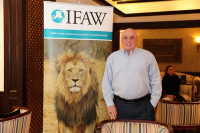 DUBAI , UNITED ARAB EMIRATES , January 22 – 2019 :- Azzedine Downes , President and CEO of International Fund for Animal Welfare at the Arabian Courtyard Hotel in Bur Dubai in Dubai. ( Pawan Singh / The National ) For News. Story by Nick Webster