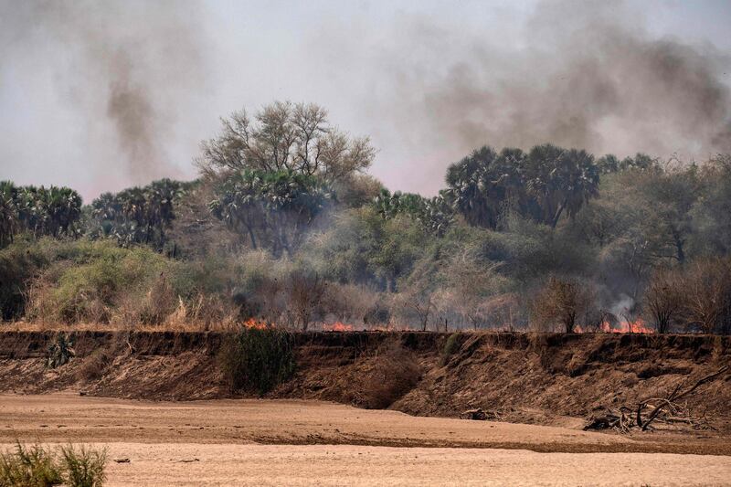 Smoke rises from a fire caused by honey-makers in Sudan's Dinder National Park. Rangers patrol the area in search of those who violate park regulations and may face fines or up to six months in prison depending on the offence. AFP
