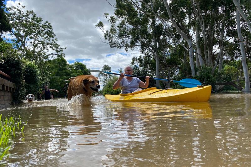 A woman kayaks with her dog as she navigates around her flooded neighbourhood in Sydney's Windsor suburb. AFP