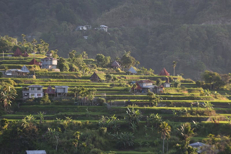 Houses perched amid rice terraces on a mountainside in Mayoyao of Ifugao province in the northern Philippines. AFP