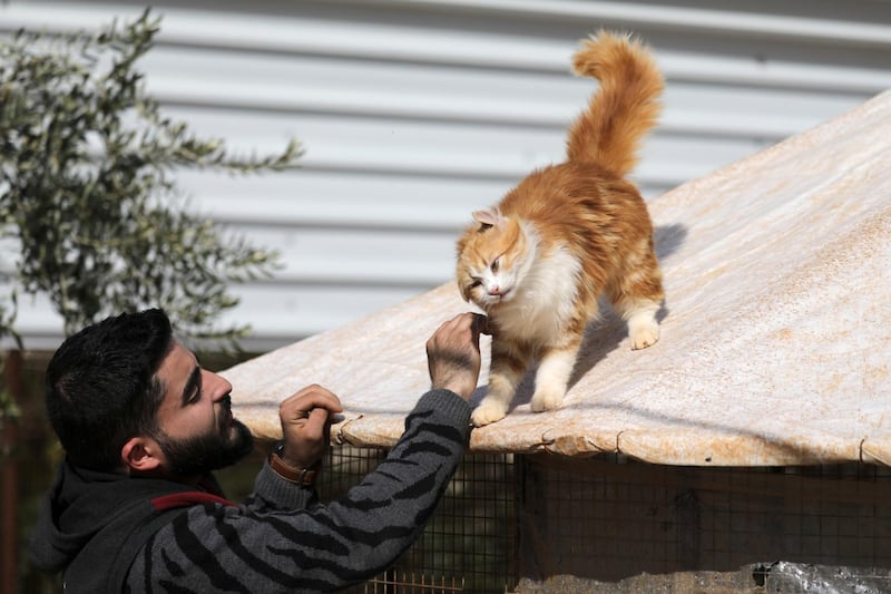 A worker plays with a cat at Ernesto's sanctuary for cats in Idlib, Syria. Reuters