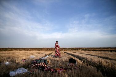 A migrant uses a blanket to warm himself in a field near Edirne, at the Turkish-Greek border on March 3, 2020. AP