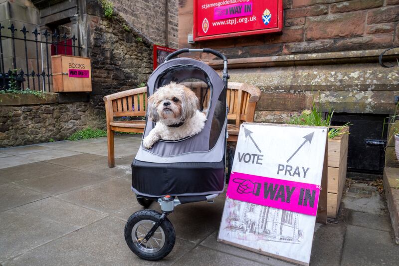 Joey the Shih Tzu waits outside the polling station at St James' Church in Edinburgh. PA