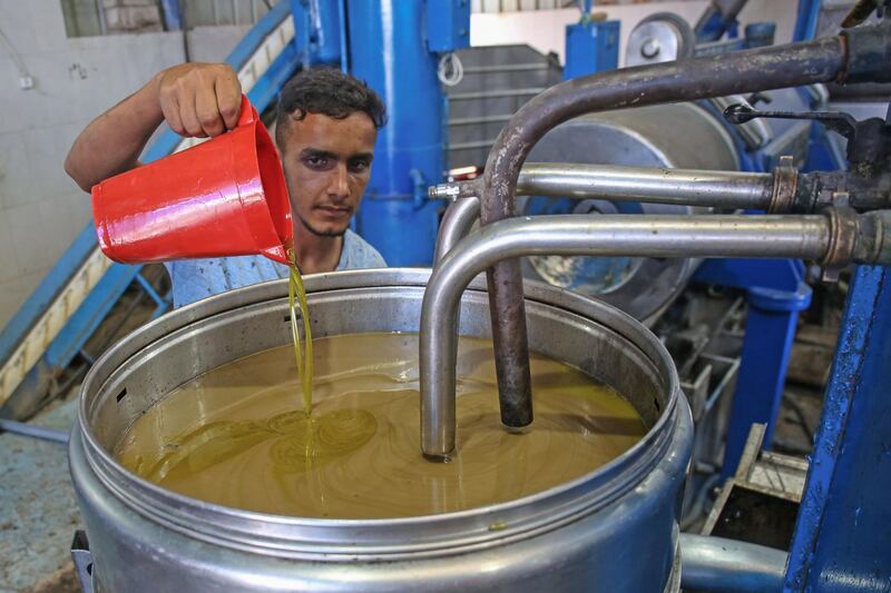 A Palestinian man tests the freshly pressed olive oil at an olive oil factory in Khan Yunis in the southern Gaza Strip during the annual harvest season. AFP