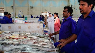 A total of 1,400 Emirati fishermen working in the eight fishing ports will benefit from the government plan. Antonie Robertson / The National