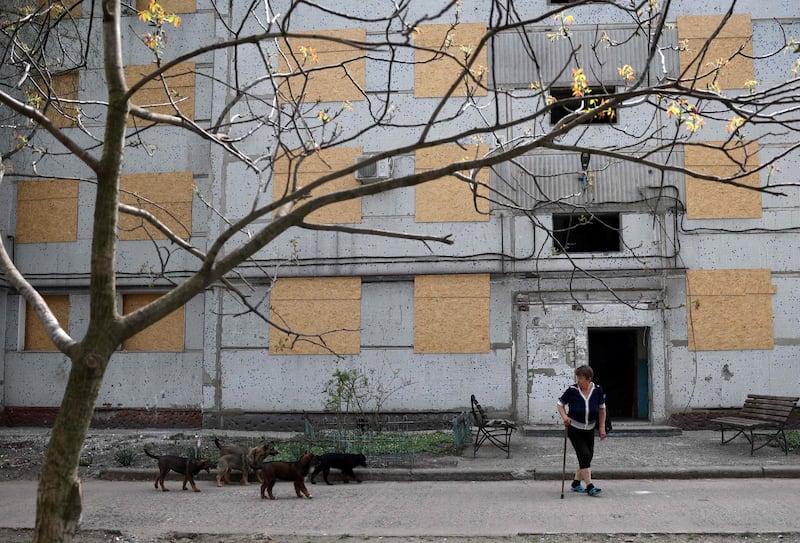 Local resident Kateryna, 77-years-old, walks with a litter of puppies, which she feeds in the yard of her bomb-damaged apartment block in the town of Kurakhove. AFP