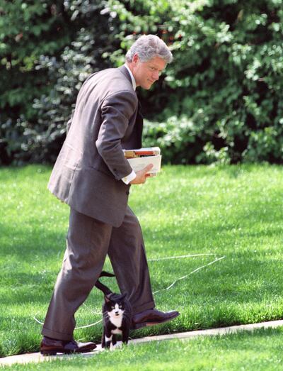 US President Bill Clinton steps over the family pet cat Socks as he returns to the White House in Washington 14 April 1994. (Photo by Paul J. RICHARDS / AFP)