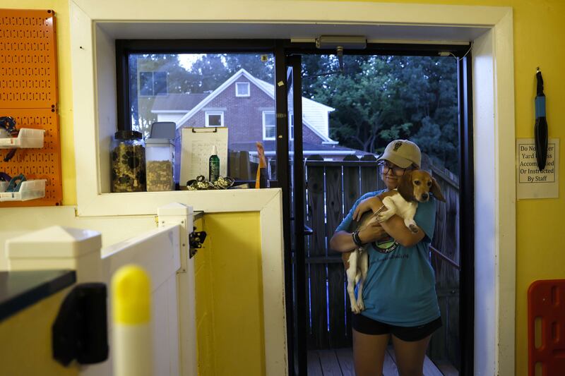 A pup is readied for bedtime. Getty Images / AFP
