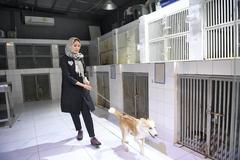 Mayaser Bundagji's mission of caring for abandoned animals continues. Saleh Fareed for The National