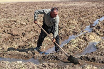 A farmer digs irrigation ditches for water supplied from a well, at a farm in the Rania district near the Dukan Dam. AFP
