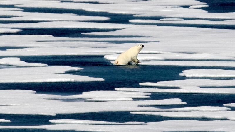 ADVANCE FOR USE TUESDAY, JUNE 19, 2018, AT 3:01 A.M. EDT AND THEREAFTER-FILE - In this Saturday, July 22, 2017 file photo, a polar bear climbs out of the water to walk on the ice in the Franklin Strait in the Canadian Arctic Archipelago. Climate scientists point to the Arctic as the place where climate change is most noticeable with dramatic sea ice loss, a melting Greenland ice sheet, receding glaciers and thawing permafrost. The Arctic has warmed twice as fast as the rest of the world since 1988. (AP Photo/David Goldman)