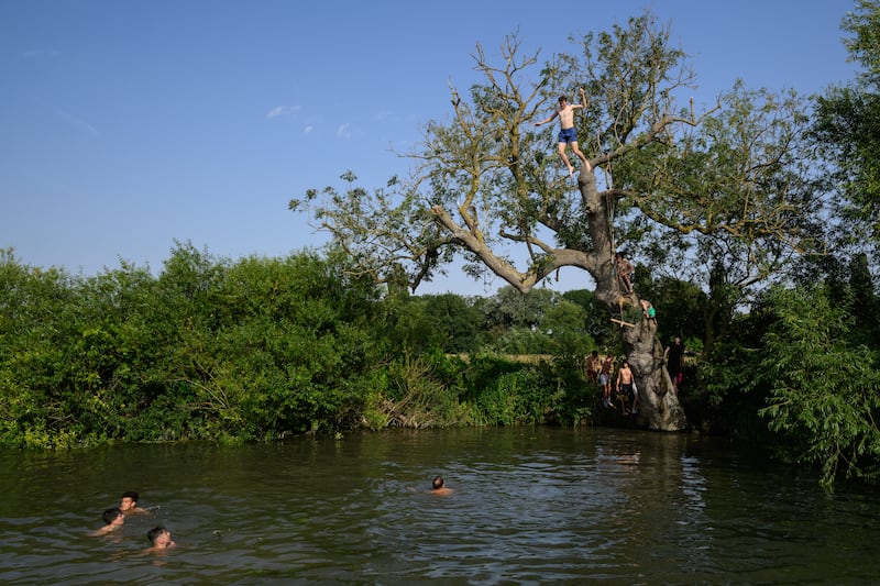 A man leaps from the top of a tree into the River Cam, in Cambridge. Getty Images