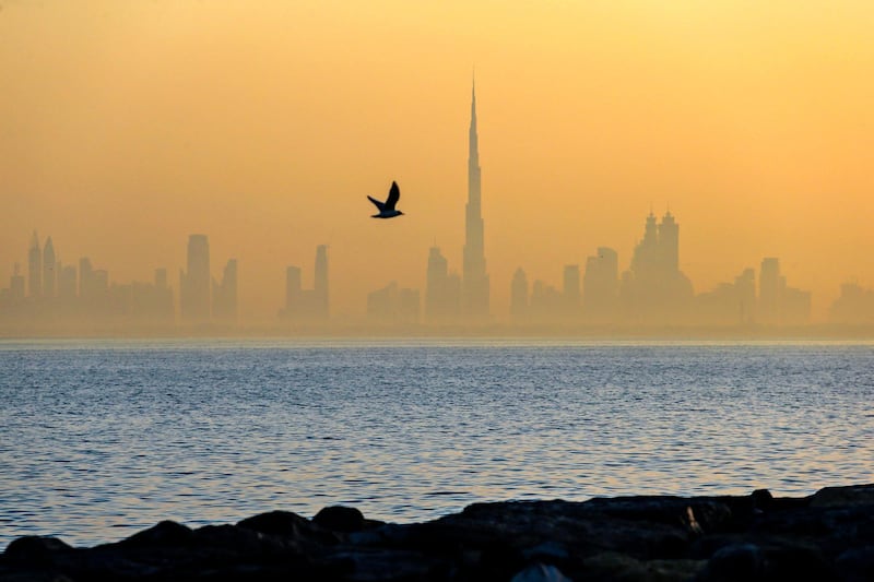 DUBAI, UAE. March 7, 2014- A bird soars across a misty Dubai skyline during sunrise, March 7, 2014. (Photo by: Sarah Dea/The National, Story by: STANDALONE, FOCAL POINT)
 *** Local Caption *** bz28de-DPS-pictures2014-14.JPG